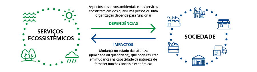 Fonte: Elaboração própria com base em TFND.