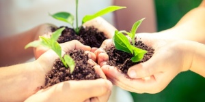 Capa da noticia - Títulos ambientais, sociais e de governança: investindo em projetos sustentáveis