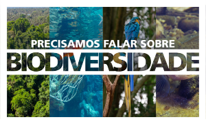 Capa da noticia - Alguns conceitos sobre biodiversidade