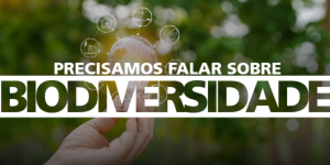 Capa da noticia - Biodiversidade e o setor de energia