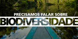 Capa da noticia - Biodiversidade e o setor de construção civil