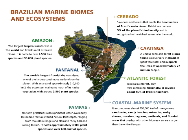 BIODIVERSIDADE_mapa_biomas_EN
