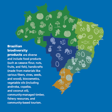 BIODIVERSIDADE_mapa_produtos_EN