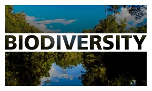 Capa da noticia - What is biodiversity?