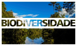 Capa da noticia - O que é biodiversidade?