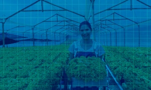 Capa da noticia - <p>Crédito rural do BNDES e considerações sobre concentração fundiária no Brasil</p>