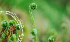 Capa da noticia - <p>Clima é tema especial da Revista do BNDES 61</p>