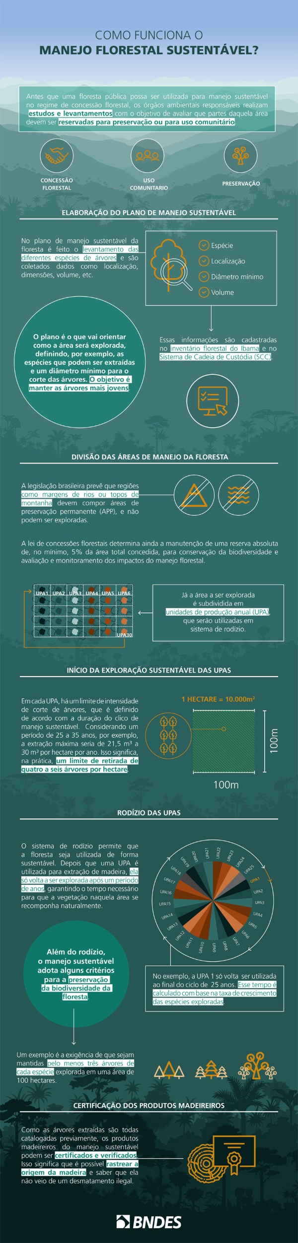 BNDES_028_GEDIT_-MANEJOFLOR BNDES_028_GEDIT_-MANEJOFLOR