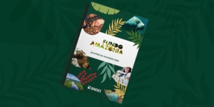 Capa da noticia - Fundo Amazônia: Relatório de Atividades 2024