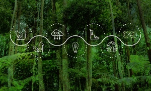 Capa da noticia - Mercado voluntário de carbono no Brasil: contribuições da consulta pública