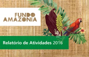 Capa da noticia - Relatório de Atividades do Fundo Amazônia 2016