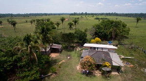 Capa da noticia - Cadastro Ambiental Rural: conceito, abrangência, escopo e natureza