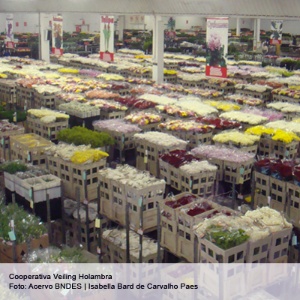 Capa da noticia - Cooperativismo: alternativa de organização produtiva