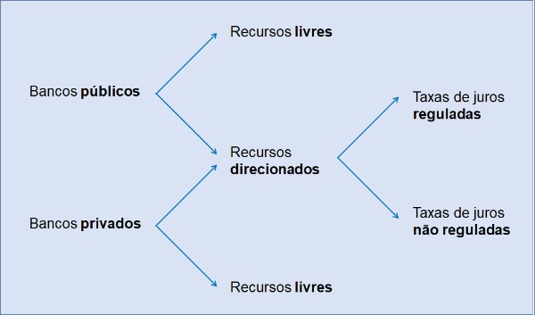 Figura1-taxonomia-credito Figura1-taxonomia-credito
