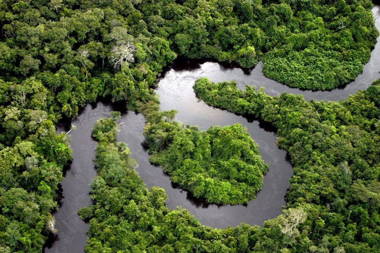 FundoAmazonia_MinisterioDoMeioAmbiente FundoAmazonia_MinisterioDoMeioAmbiente