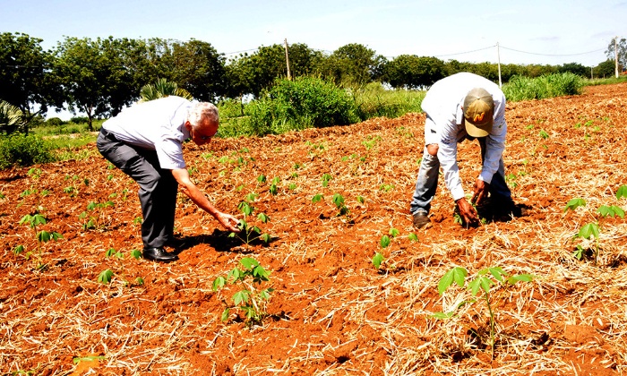 Inclusão produtiva_Elmiro de Deus - Governo do Tocantins Inclusão produtiva_Elmiro de Deus - Governo do Tocantins