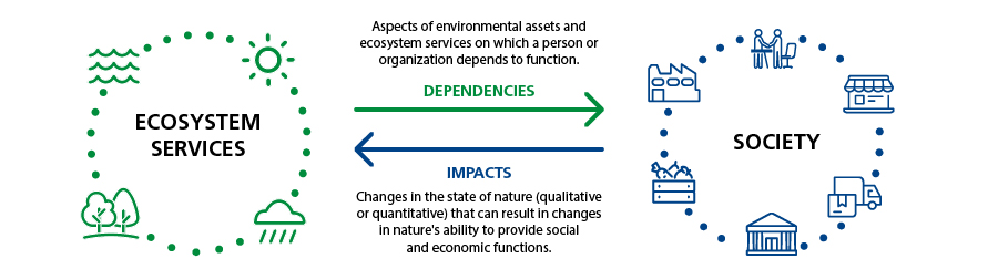 Infografic_ConceitoBiodiversidade-EN