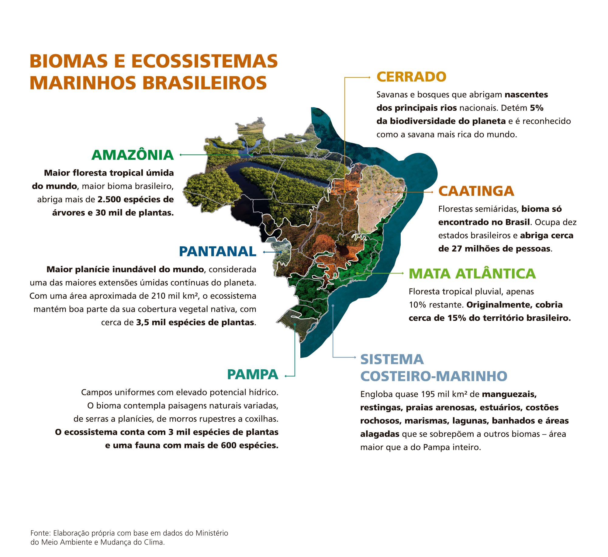 Mapa_biomas Mapa_biomas
