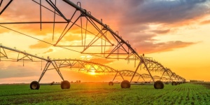Capa da noticia - Estudo mostra impacto do BNDES na produtividade agropecuária