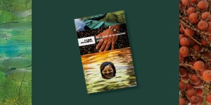 Capa da noticia - <p>Relatório do Fundo Amazônia consolida resultados alcançados e apresenta novos projetos contratados</p>