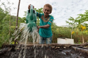 Capa da noticia - BNDES Verde: Sertão Vivo e Floresta Viva