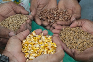 Capa da noticia - Sistemas Agrícolas Tradicionais (SAT)