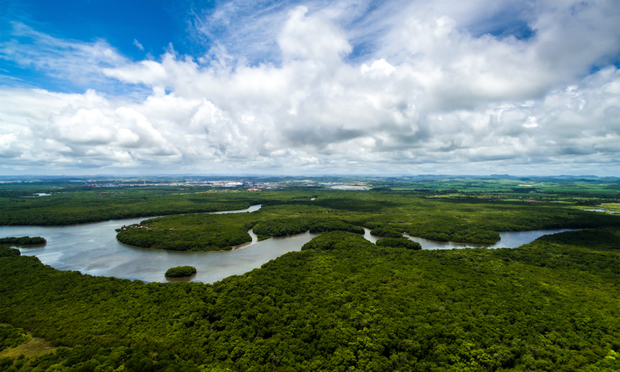 Capa da noticia - COP30: Saiba mais sobre o evento que discute o futuro do nosso planeta