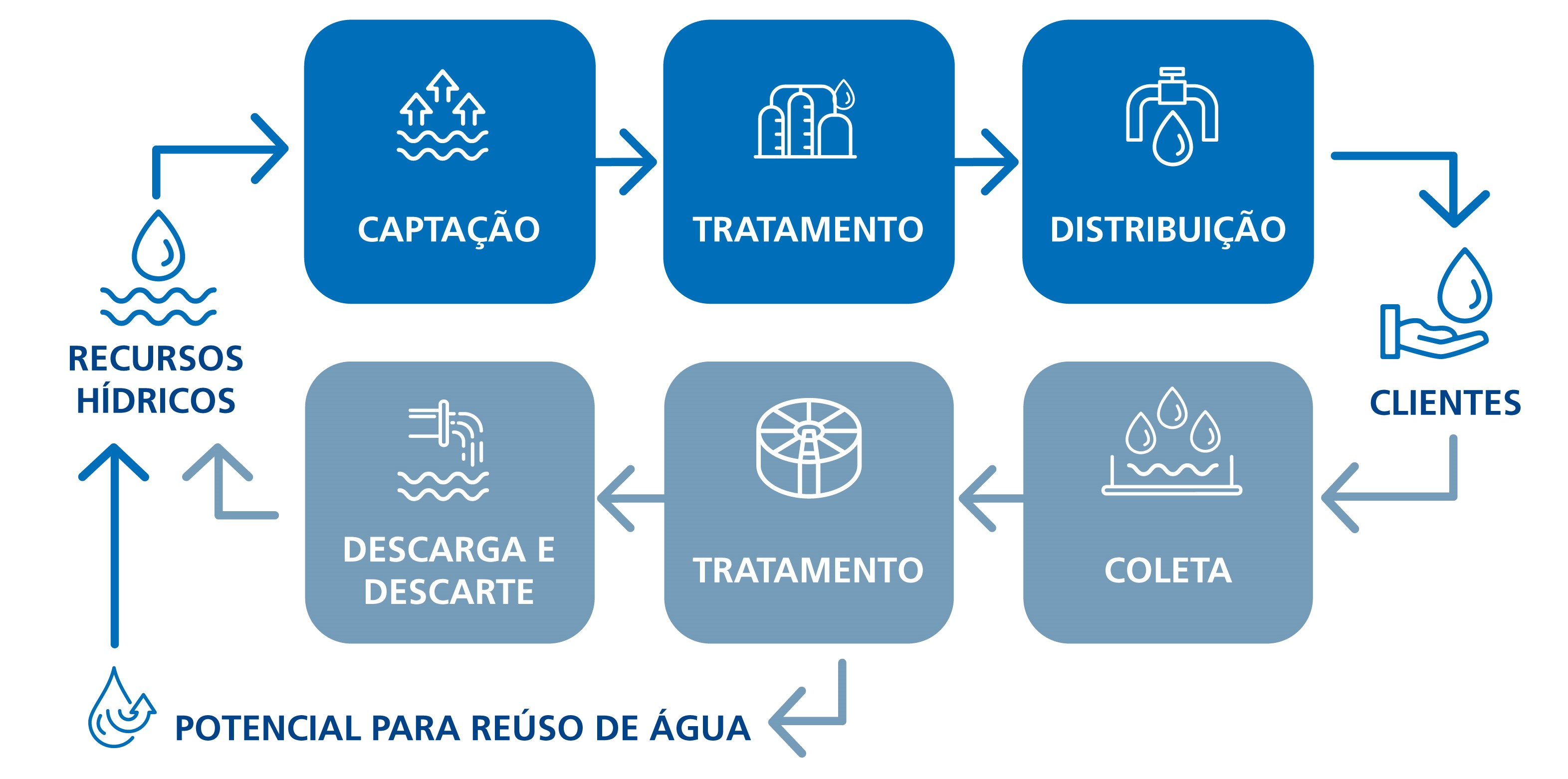 bndes_2_novos_infograficos_biodiversidade_121224b_azul