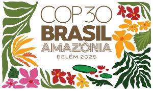 Capa da noticia - Conferência das Partes: conheça alguns dos principais marcos da história das COPs