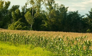 Capa da noticia - Agropecuária sustentável e crédito rural no Brasil