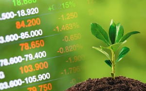 Capa da noticia - Finanças Verdes