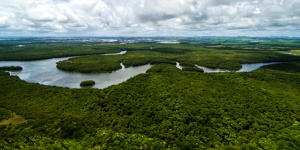Capa da noticia - Autores do BNDES levam Prêmio ABDE-BID com artigo sobre bioeconomia na Amazônia