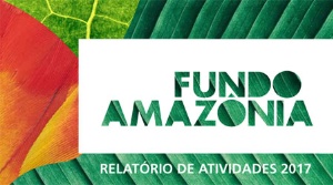 Capa da noticia - 10 anos do Fundo Amazônia