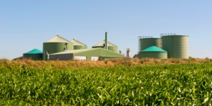 Capa da noticia - Potencial do biogás no setor agropecuário brasileiro