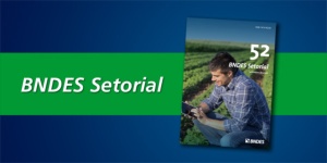 Capa da noticia - Lançamento: BNDES Setorial 52