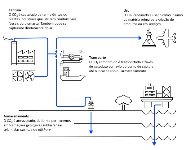 grafico-CCUS grafico-CCUS