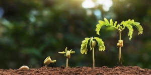 Capa da noticia - Financiando o desenvolvimento sustentável: O papel dos bancos de desenvolvimento