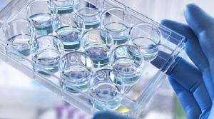 Capa da noticia - Como surge um novo medicamento?